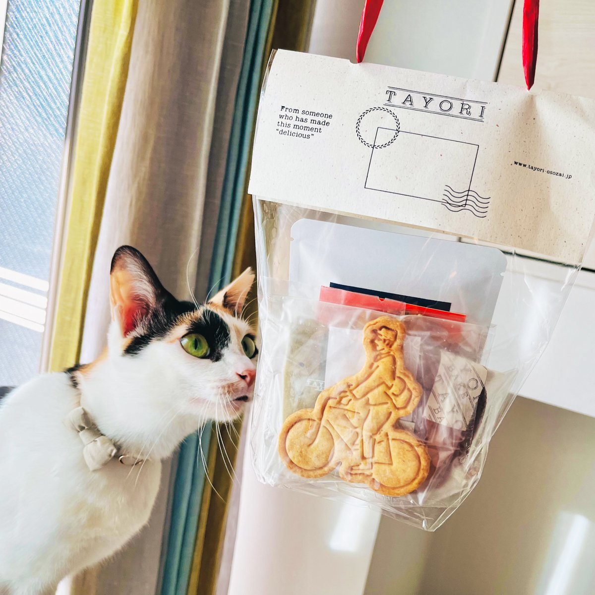 台湾の蚤の市で購入した猫の人形2 体 ゆう on X