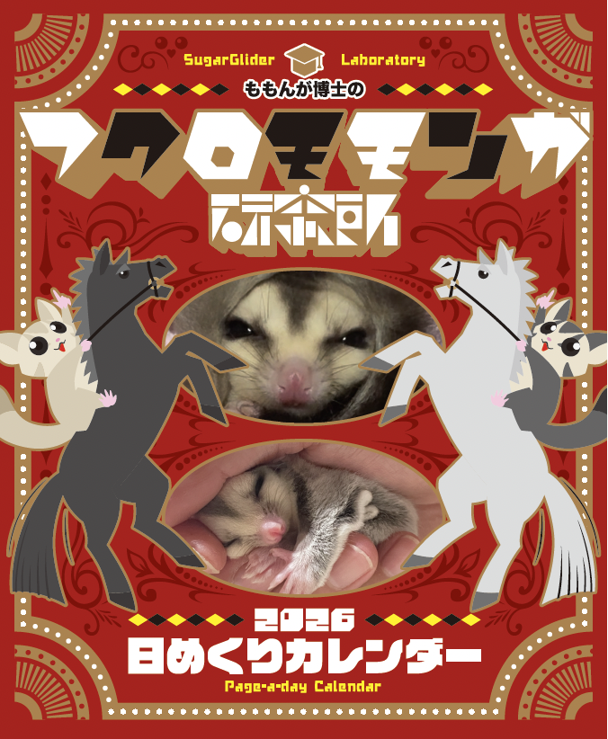 【📅2026日めくりカレンダー情報】
〝掲載写真の募集、まもなく終了！〟

2026年版《フクロモモンガ日めくりカレンダー》に掲載する写真の募集は、
11月9日(日)いっぱいで締切となります！

掲載を希望される方は、こちらからお早めにご応募ください👇
🔗 fukumomo-labo.com/postphoto/