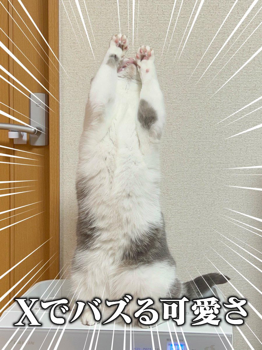 バズらせてください