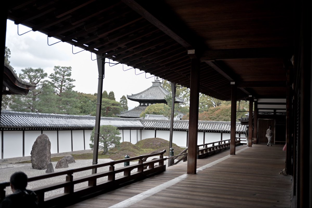 SpringCamellia's tweet image. Nikon ZR
NIKKOR Z 40mm f/2
CineBias＿RED

#カメラ好きな人と繋がりたい
#写真好きな人と繋がりたい
#写真初心者
#snapshot
#Nikon