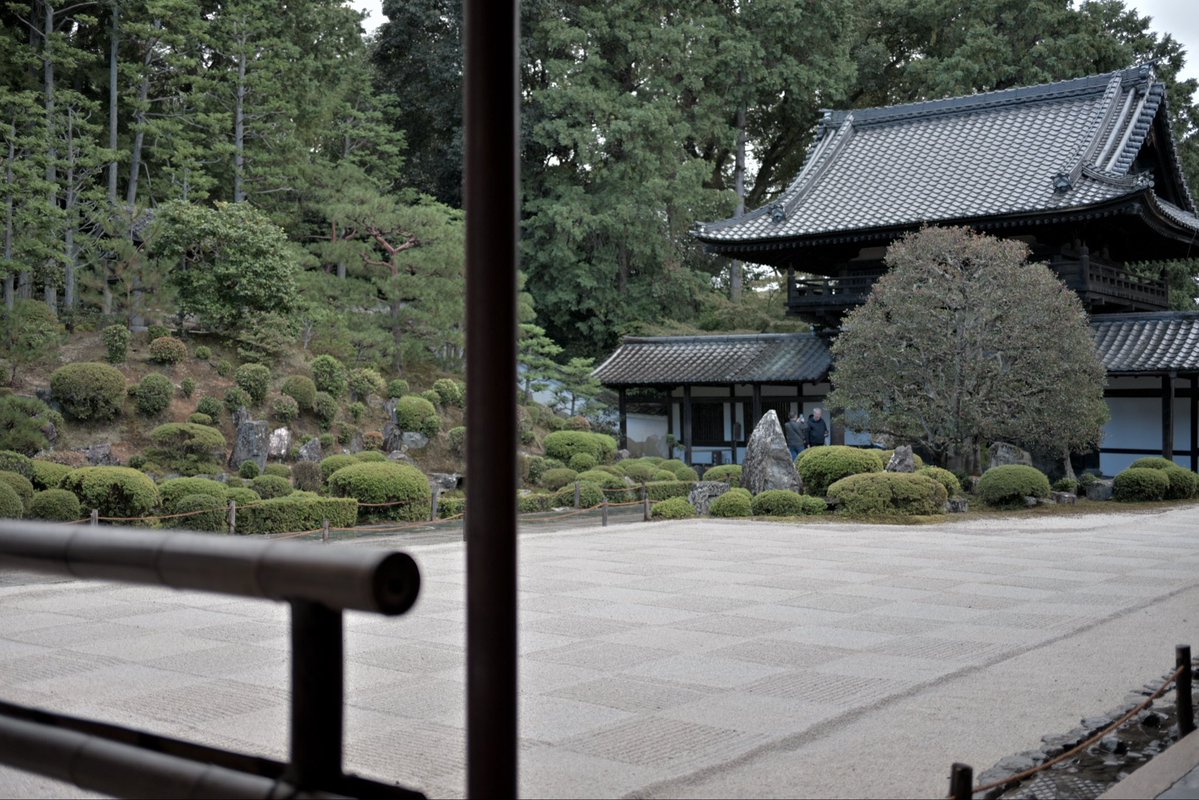 SpringCamellia's tweet image. Nikon ZR
NIKKOR Z 40mm f/2
CineBias＿RED

#カメラ好きな人と繋がりたい
#写真好きな人と繋がりたい
#写真初心者
#snapshot
#Nikon