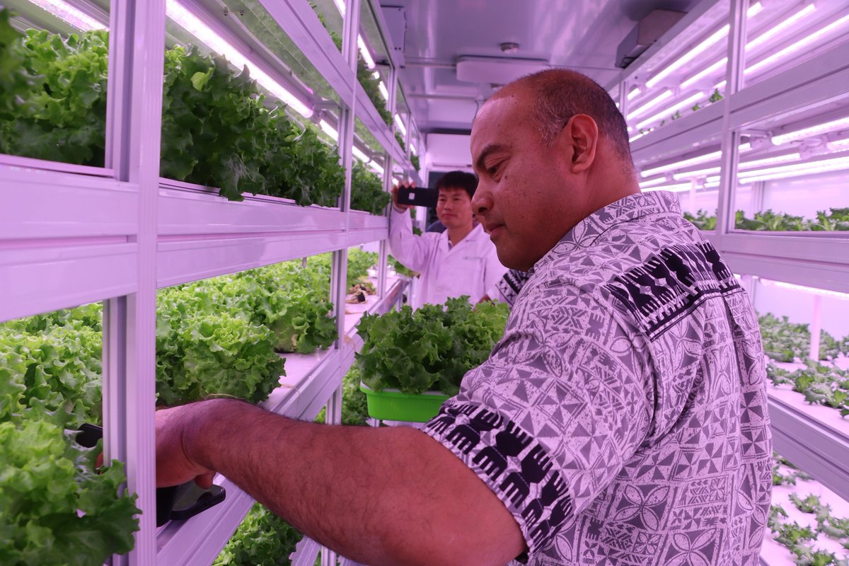 Republic_Naoero's tweet photo. Menen hydroponics farm - run by Department of Environmental Management &amp; Agriculture &amp; Chinese entity Jiangmen Agricultural Holdings Group - uses an innovative farming method which boosts production of fresh produce, strengthening food security with Nauru’s limited land resource. https://t.co/7bTzvDx2mt