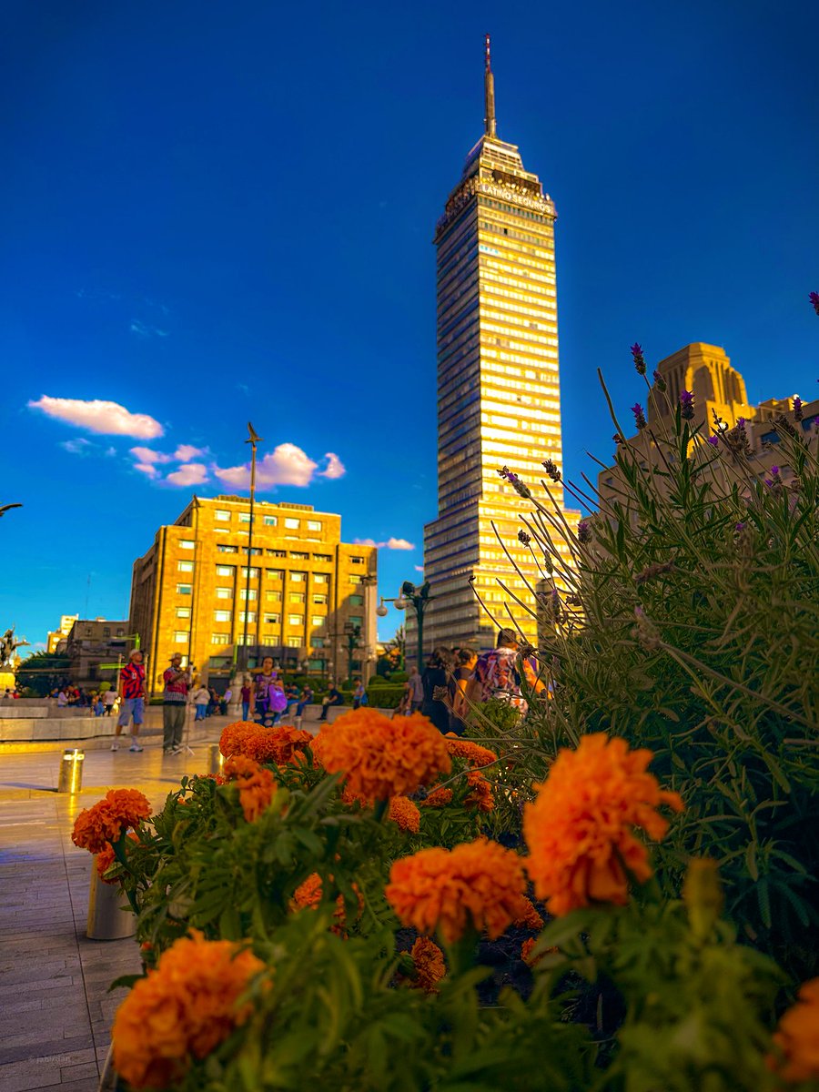 Rastros de noviembre… 🧡 #CDMX #Mexico