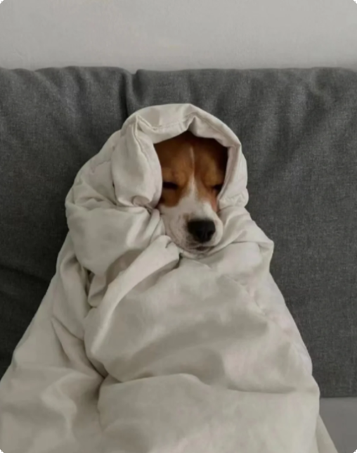 朝の冷たい風は、寝坊への一番強いチャレンジ。