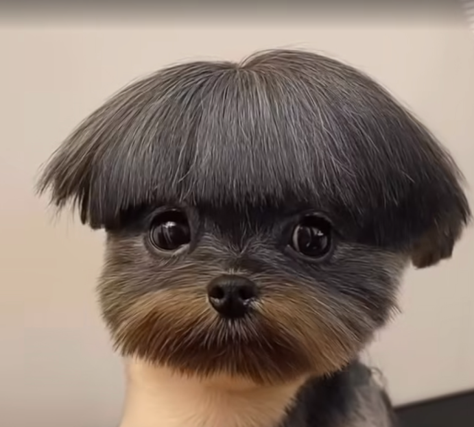 War beim Friseur. Wie findet ihr´s?