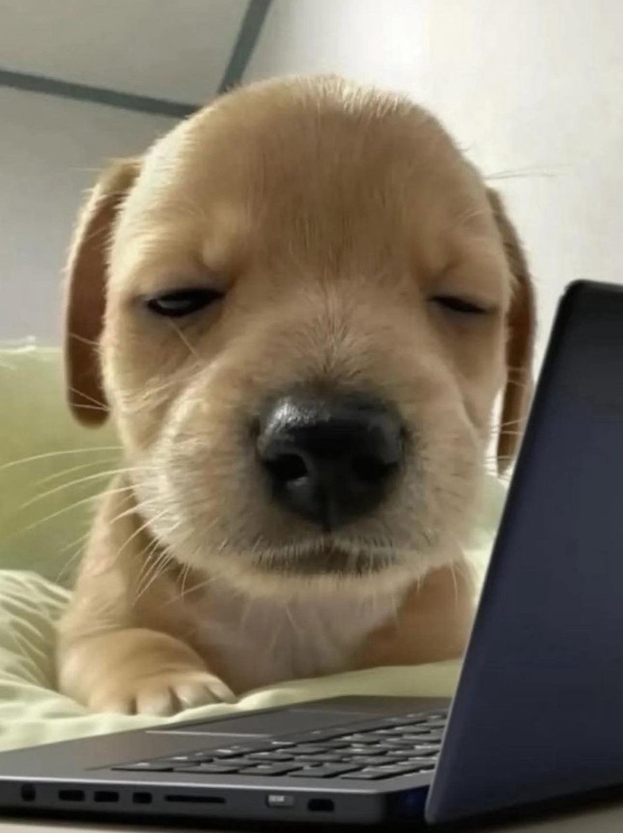 第一秋叶 tweet media