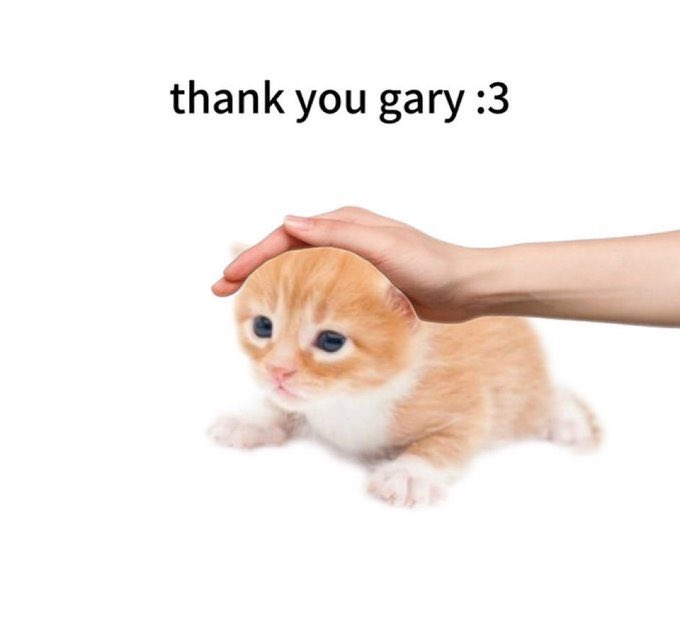 Growl_Kat's tweet photo. @higary__ https://t.co/9nPvqTMEva