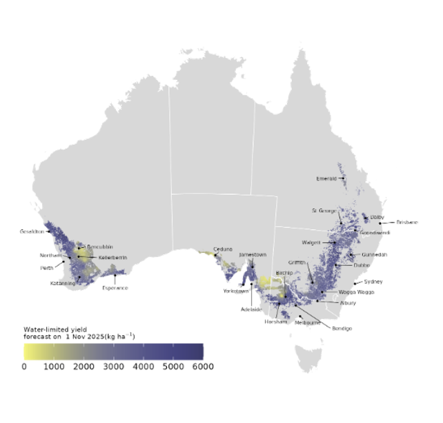 Amber BC tweet media