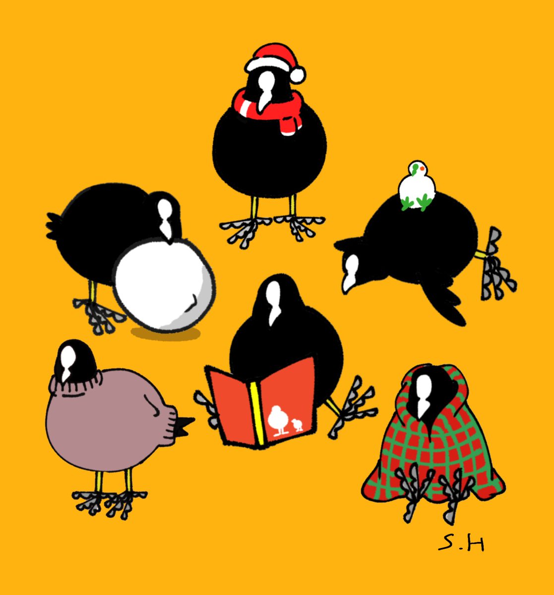 冬のオオバンコレクション🎄