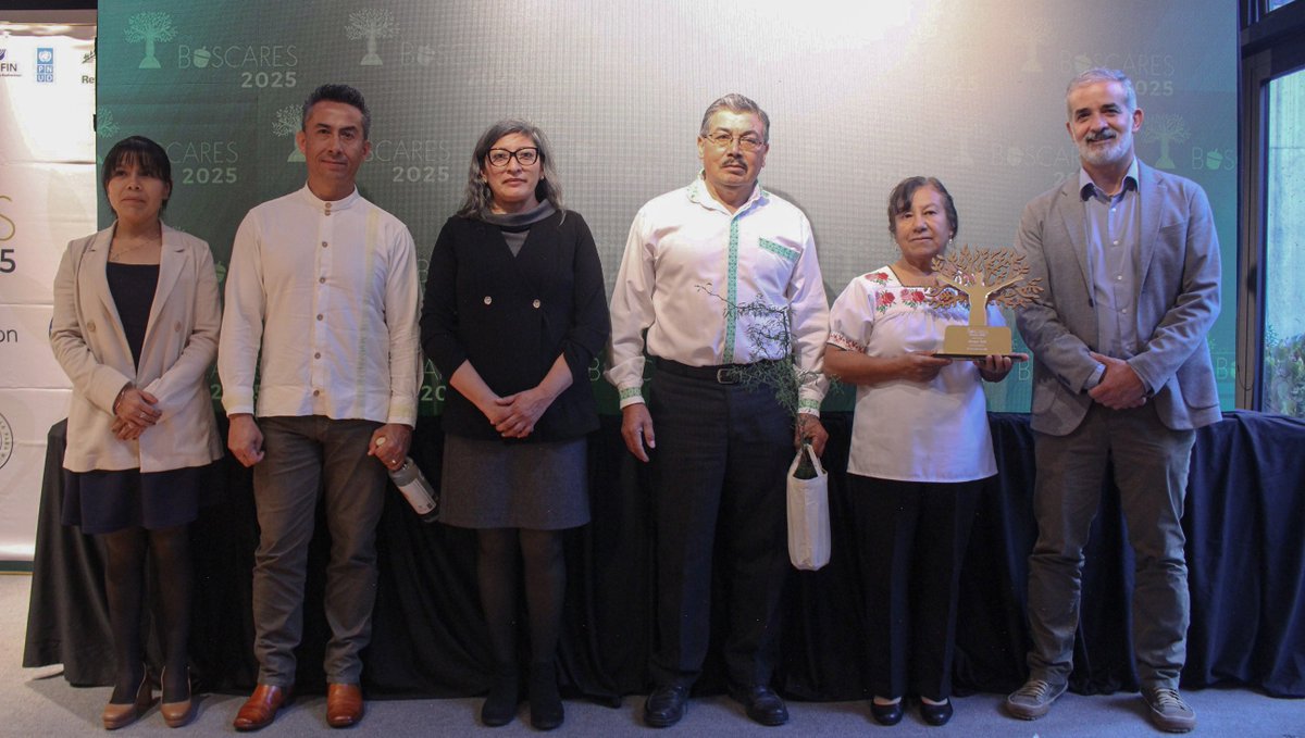ReforestamosMx's tweet photo. 👏 La iniciativa “El mezquite en alto” de Grupo Yuti ha sido reconocida en #LosBóscares 2025 por su impulso a modelos productivos sostenibles y al fortalecimiento de la economía comunitaria.

💼 Este proyecto transforma la vaina del mezquite en alimentos, bebidas y productos de valor agregado, reduciendo desperdicios y generando ingresos justos para las familias de la región. Ha sensibilizado a más de 1,000 participantes, recolectado y comprado más de 5 toneladas de vainas, y promovido una economía local sólida y sostenible.