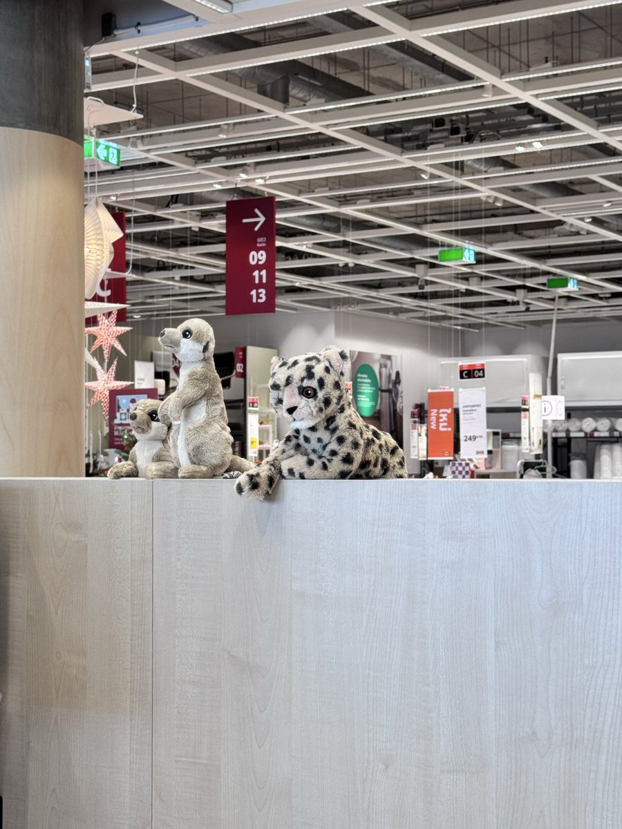 ยัยเสือดาวนี่ไม่น่ารักตรงไหน พูด !