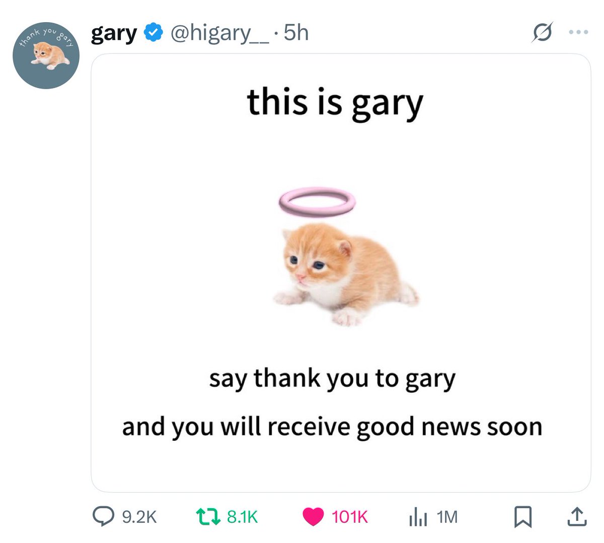 $Gary community 🐈 tweet media