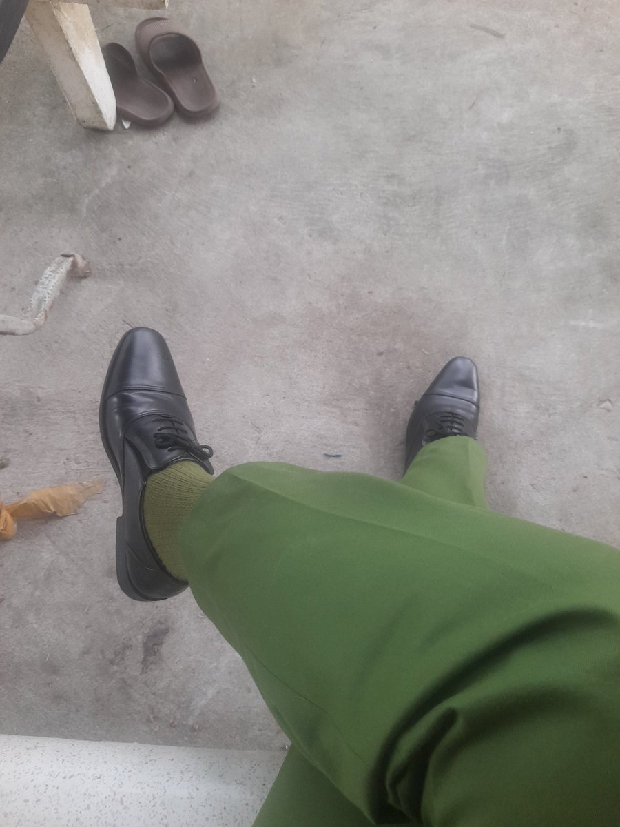 bôi hai mái tweet media