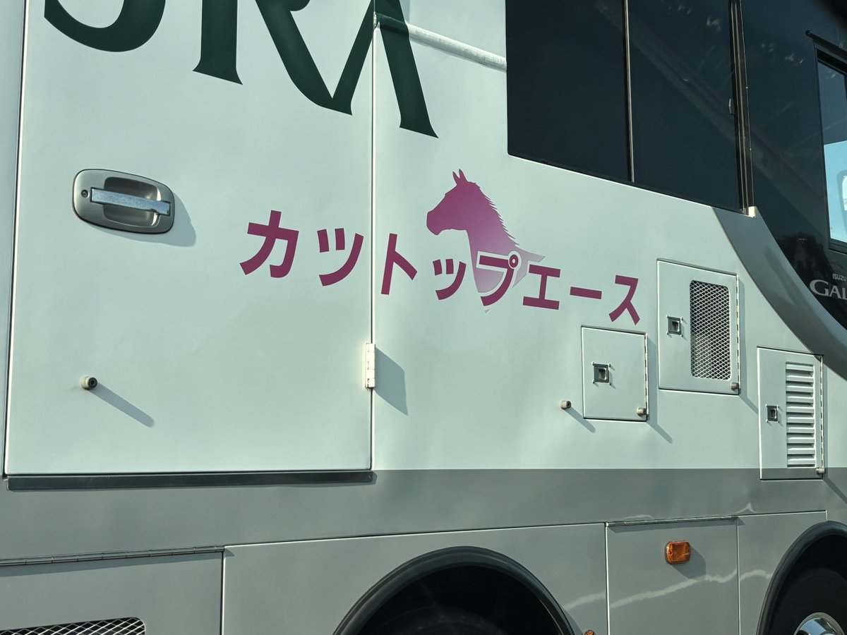 サンバ杉山🐞 on X