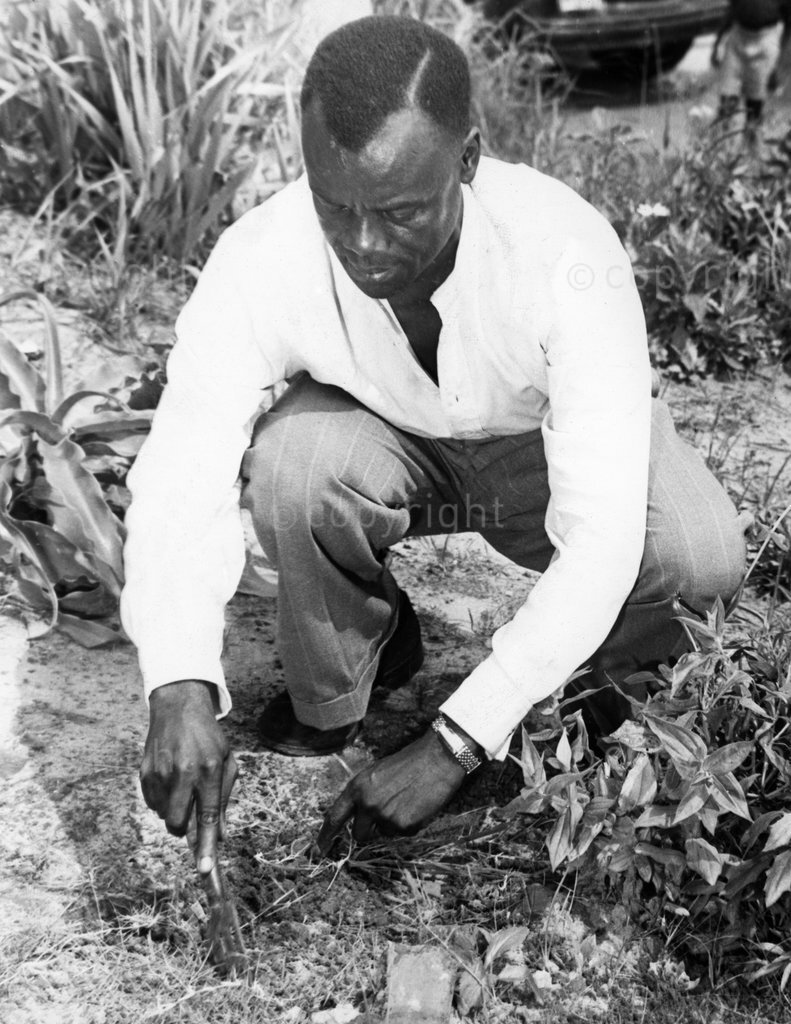 "The King! The gardener: at home in Lamontville, Masinga potters in the garden whenever he gets the time. King Edward Masinga is known to most South African radio listeners. He rose from herd boy to senior Zulu announcer at the Durban studios of the South African Broadcasting