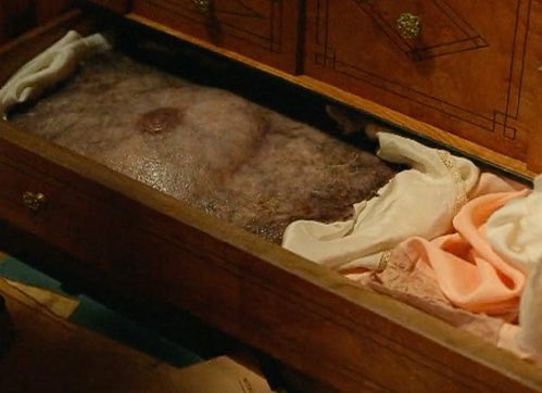 claudia funny af for having a tit drawer