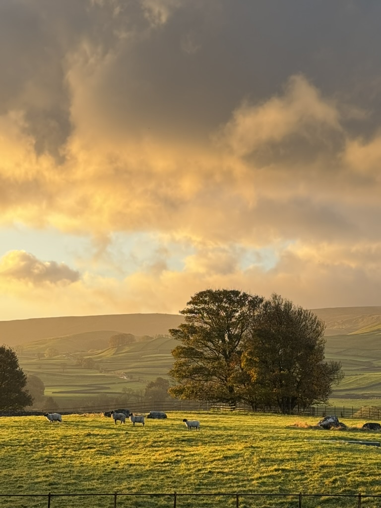 Yorkshire Dales National Park tweet media