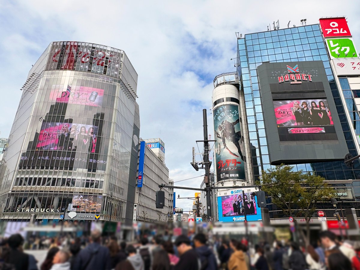 総合報道【公式】サイン・ディスプレイ業界専門メディア on X