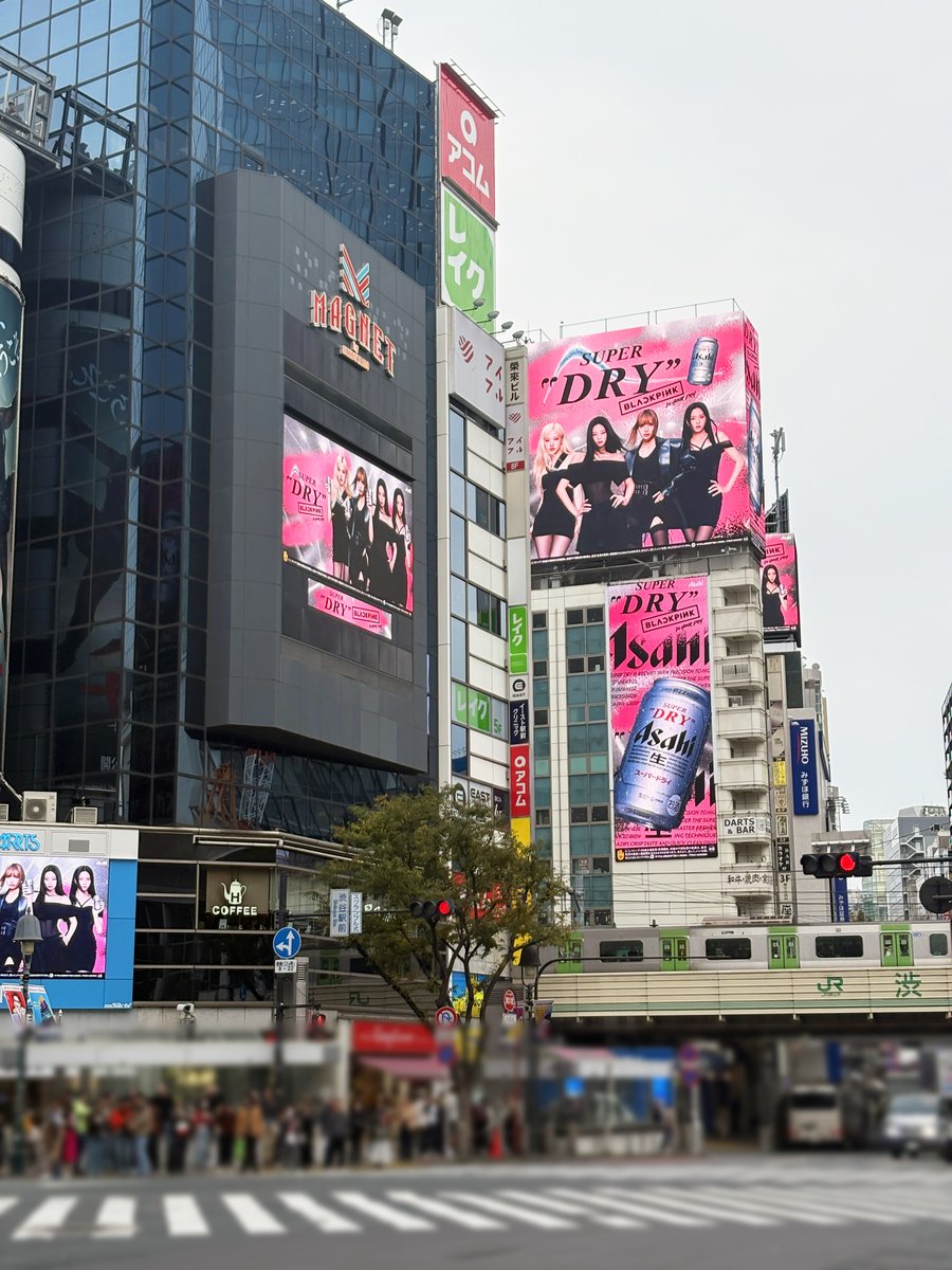 総合報道【公式】サイン・ディスプレイ業界専門メディア on X