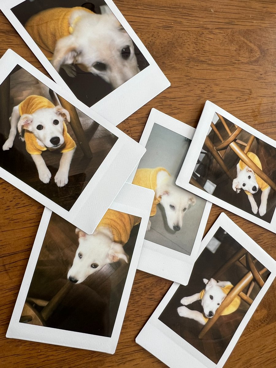 sunkorea91_'s tweet image. 🇰🇷 251107 #국톡