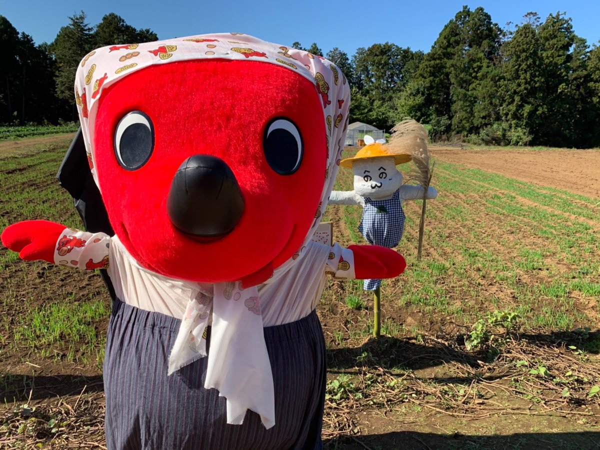 チーバくん (@chi_bakun_chiba) / Posts / X