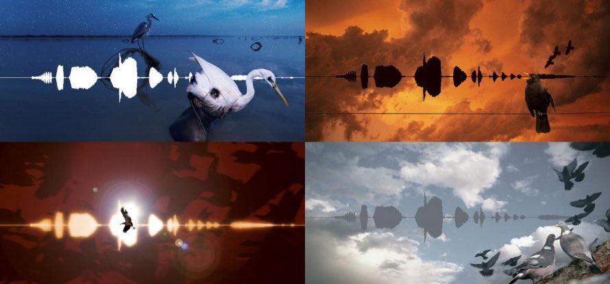 aaronposting's tweet image. Happy 20 years of Kate Bush’s Aerial, one of her most beautiful works and one of my all time favorite albums. Coming back after a 12 year absence with a record this stunning is such a remarkable achievement