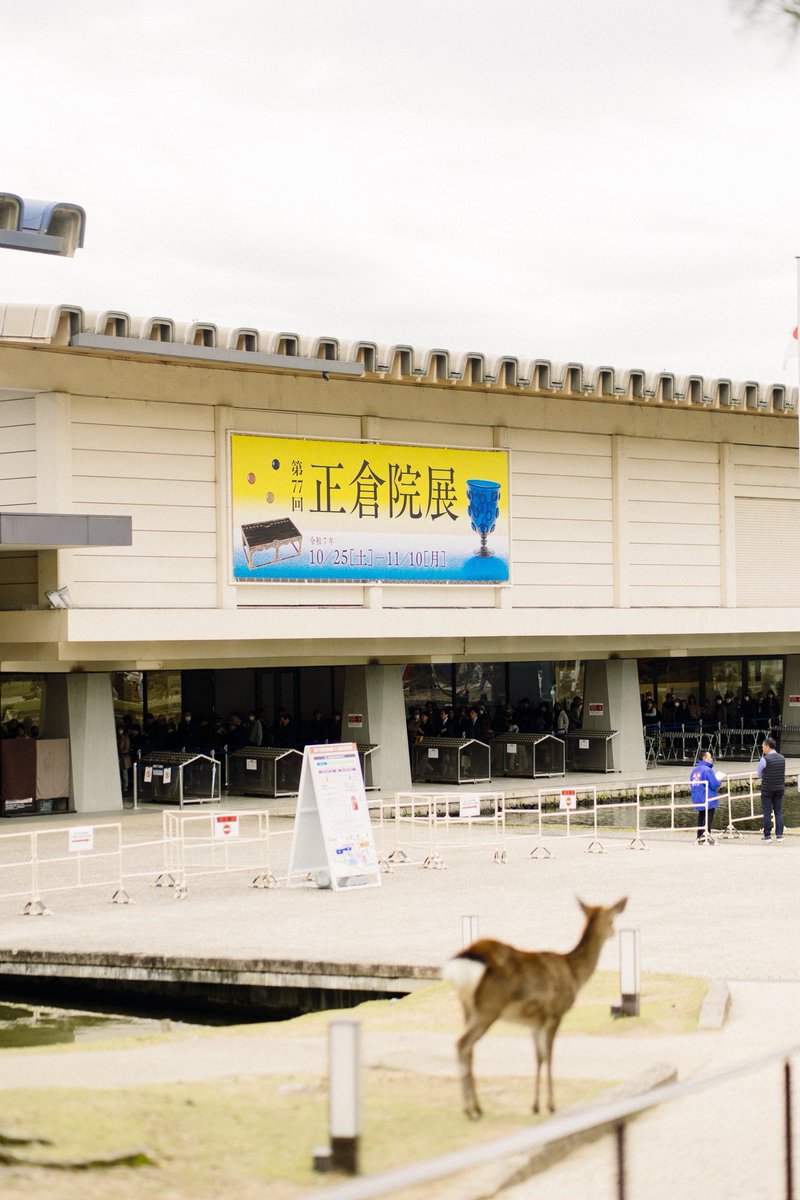 さくページ 笹. on X