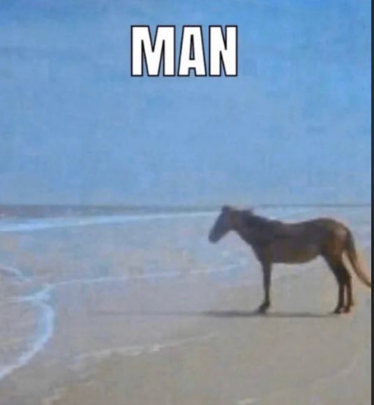 india 🪼 (@niltrous) on Twitter photo 