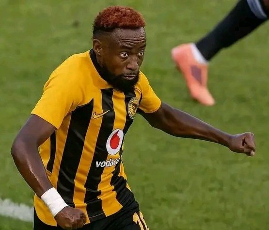 CHAUFFEUR Tout-Kin tweet media