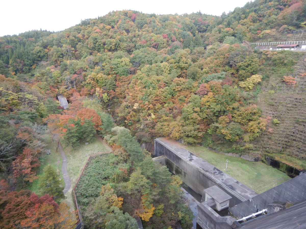 mlit_uetsu's tweet image. ✨\大石ダム周辺の紅葉が見頃となっています/✨
お近くにお越しの際は是非お立ち寄りください🍁
またインフォメーションハウスでは、大石ダムに関する展示やダムカードの配布を行っています。
（開館：11月30日までの毎日9時～17時）
#大石ダム #紅葉 #ダムカード