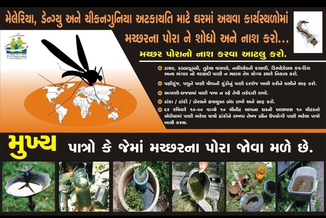 મચ્છરના પોરાનો નાશ કરવા આટલું કરો....