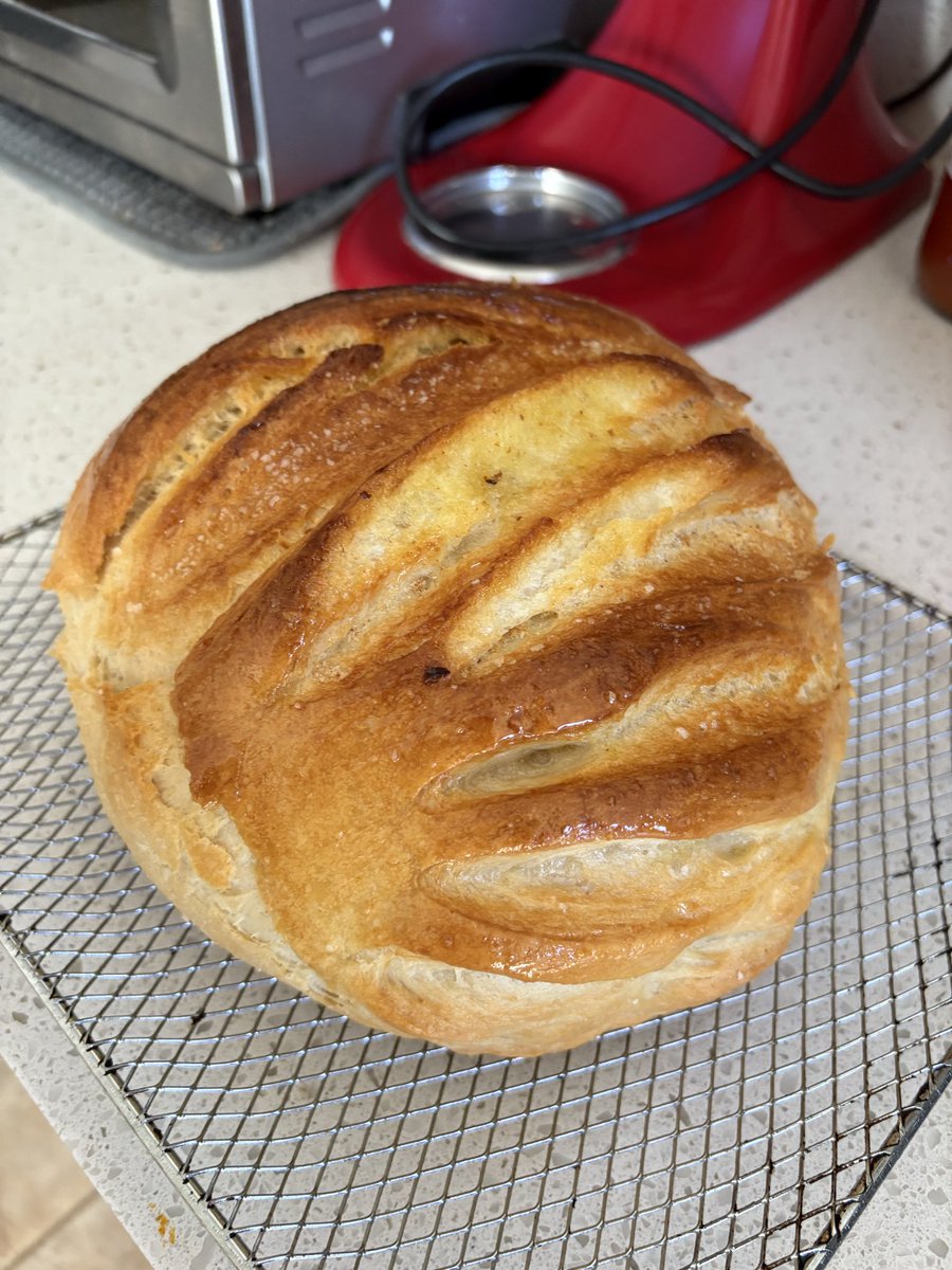 MochieBear01's tweet photo. It’s been a while, here are some fall baked goods I’ve been crafting!~ https://t.co/gF5M8i4FP7