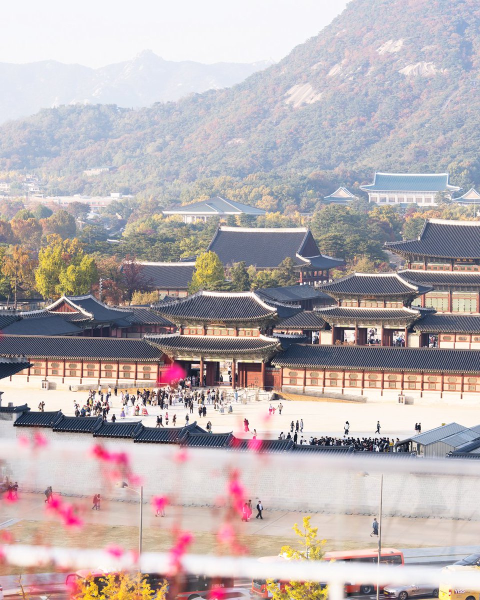 경복궁이 한눈에 보이는 무료 전망대?
이런 뷰를 무료로 즐길 수 있는곳! 대한민국역사박물관 8층 옥상정원