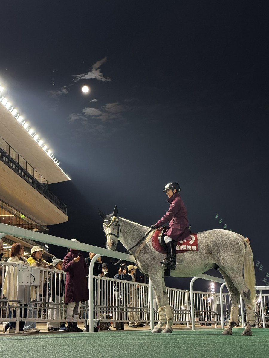 #船橋競馬 開催最終日！

今日の誘導馬は
1-4、9-10レース  #タカラスノーウェブ
5-8、11-12 レース  #ミューチャリー

本日も9と12レースで誘導馬ふれあいタイムを予定しておりますが、天候や馬の調子により中止になる場合があります。