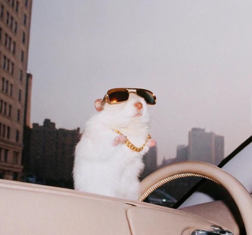 鼠鼠我啊，有时候也会emo，
行情不听话，钱包不争气。
看着一路向下的K线，
心里默叹，要不算了吧。

但转念一想，
人生本来就像持仓，
跌久了总会反弹，
于是又默默加仓1刀乐。

鼠鼠我啊，一边掉毛，一边追光，
毕竟鼠鼠也想过上币安人生呀。

#鼠鼠我啊 #币安人生 <a href="/shushulfg/">鼠鼠我啊</a> <a href="/binance/">Binance</a> <a href="/binancezh/">币安Binance华语</a>