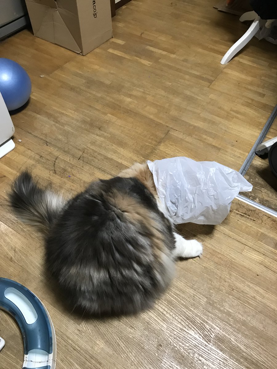 ぺそ様 つくね父＠🍶🍰🚴‍♂️🎮🎣 on X