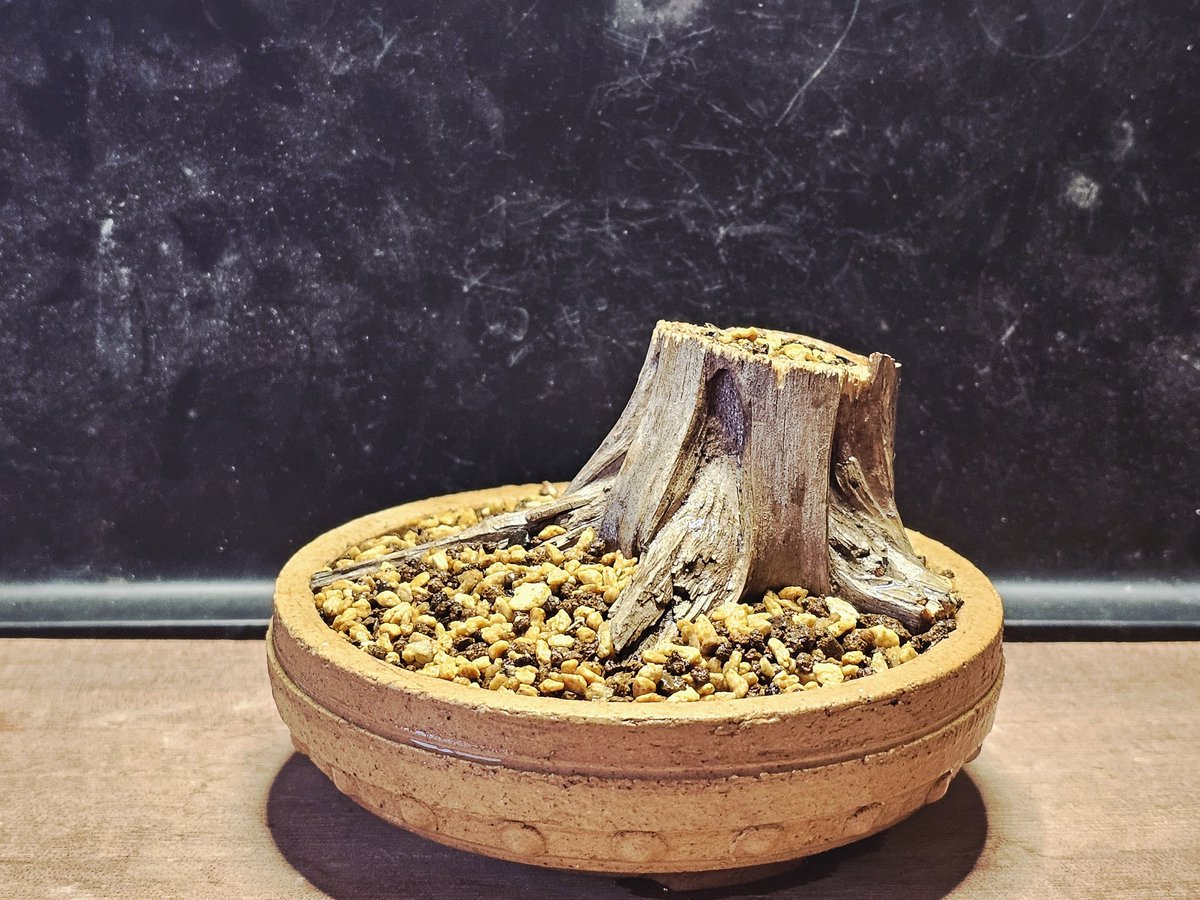 お父さん@(๑'ڡ'๑)୨♡ on X