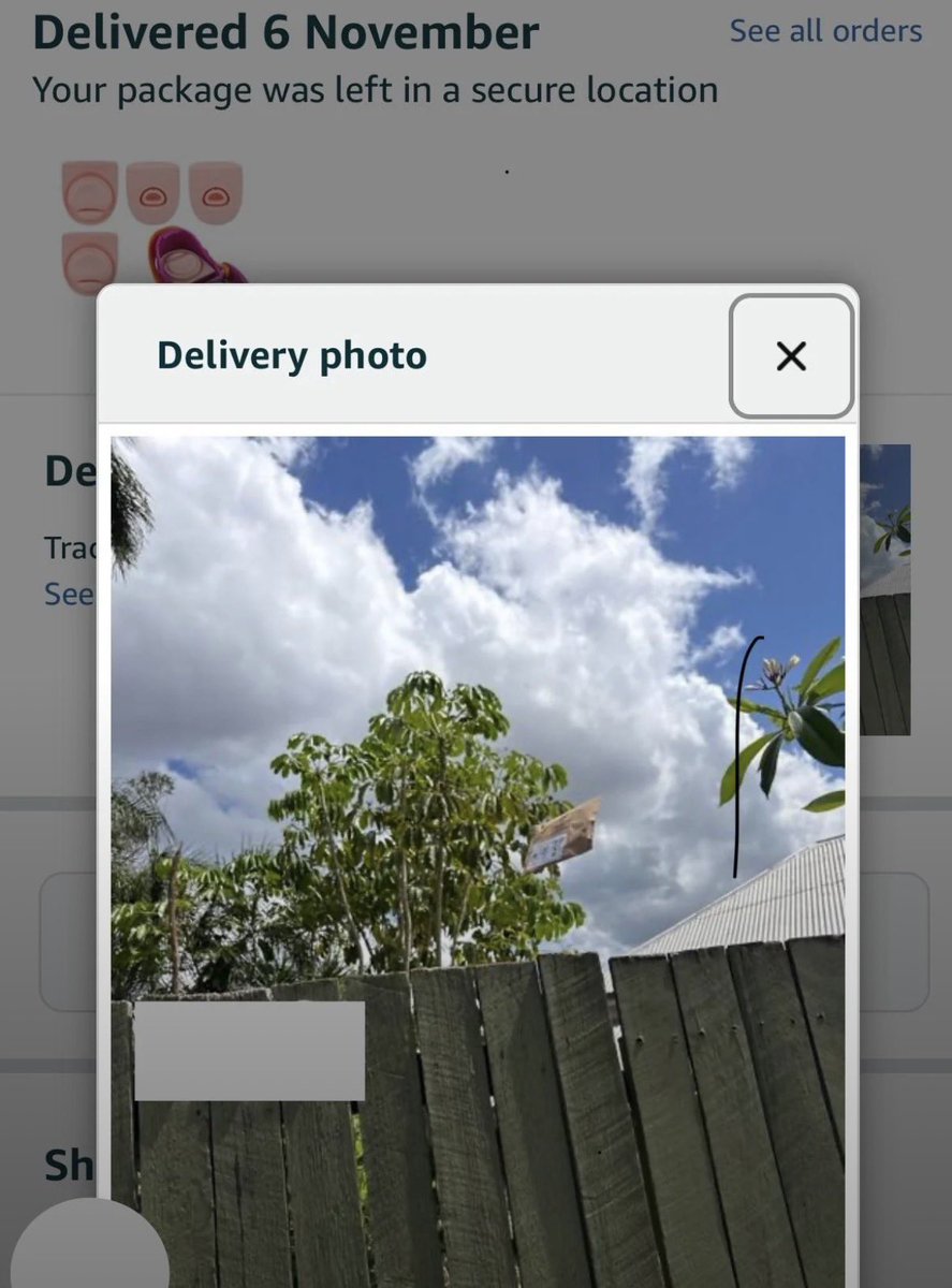 bytebrodoteth's tweet image. Thanks Amazon. Think the delivery driver moonlights as an action photographer. Respect