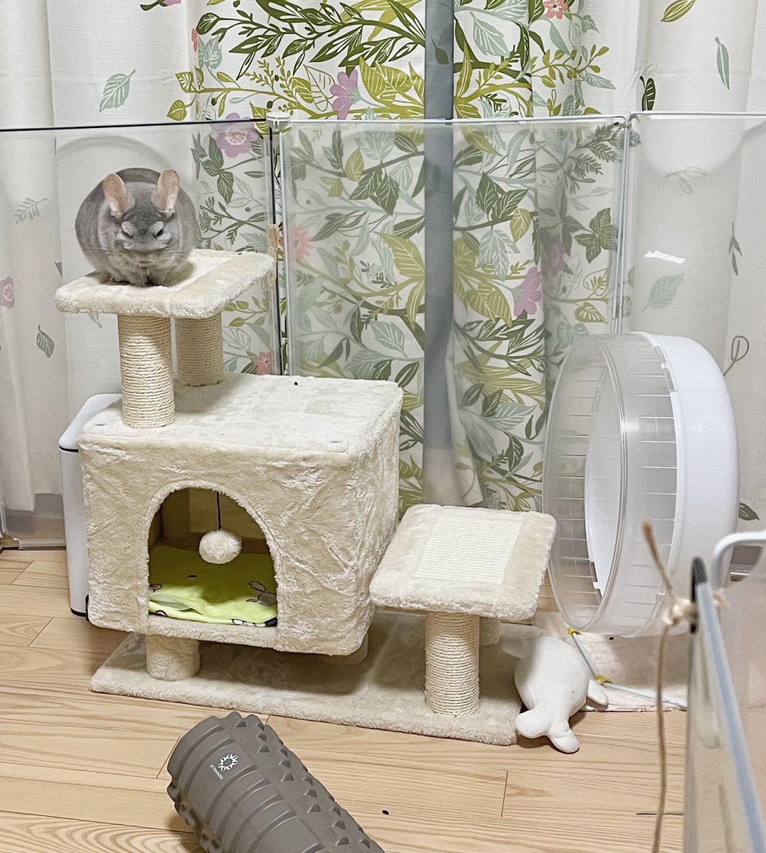 つぼい つぼい on X