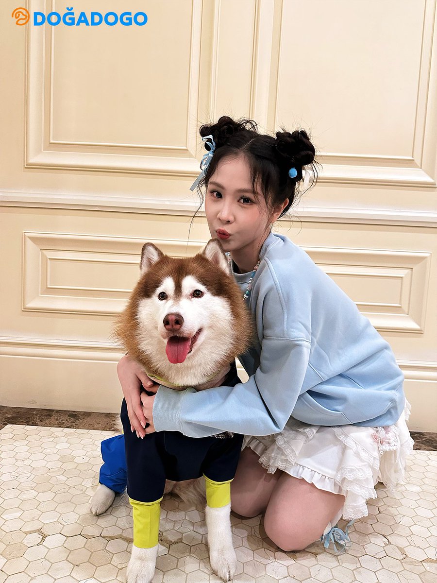 dogadogo2023's tweet image. ✨ When a pet model meets a real star ✨

At this year’s Shanghai Pet Fashion Week,
our DGDG official model — the medical assistance dog Wang Coco 🐶 —
had a lovely encounter with actress and singer Roada Xu (Xu Ziyin)! 💫

#DGDG #ShanghaiPetFashionWeek #PetModel #DOGADOGO