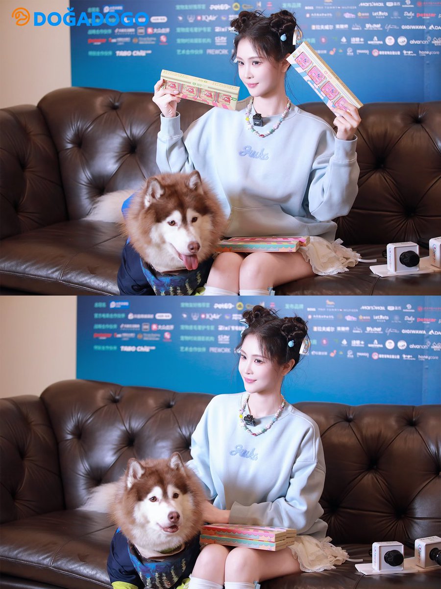 dogadogo2023's tweet image. ✨ When a pet model meets a real star ✨

At this year’s Shanghai Pet Fashion Week,
our DGDG official model — the medical assistance dog Wang Coco 🐶 —
had a lovely encounter with actress and singer Roada Xu (Xu Ziyin)! 💫

#DGDG #ShanghaiPetFashionWeek #PetModel #DOGADOGO