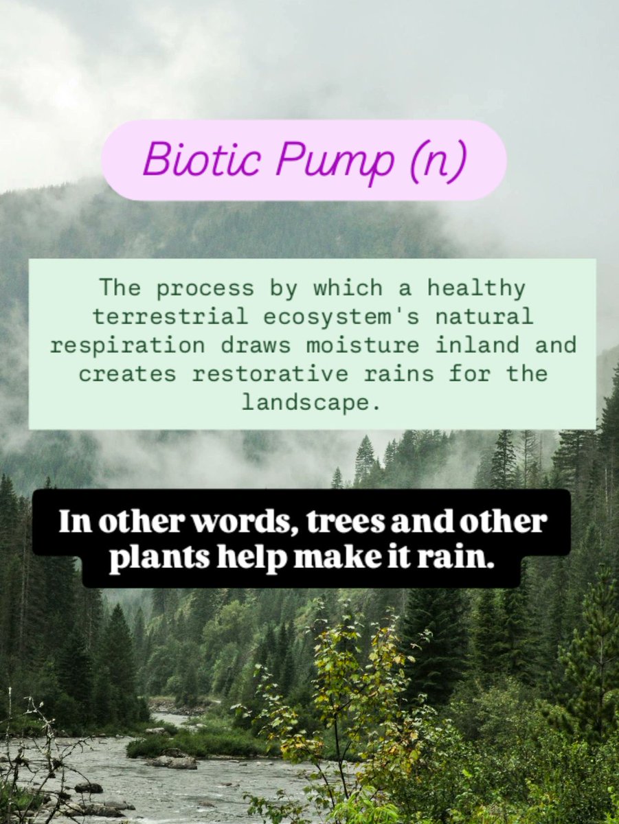 Any Indigenous elder could tell you the forests make the rain, but colonizer science has finally caught up to the notion and given us the framework to help restore the climate, by helping life along a little in its endless push to regulate the entropy of our planet. #bioticpump