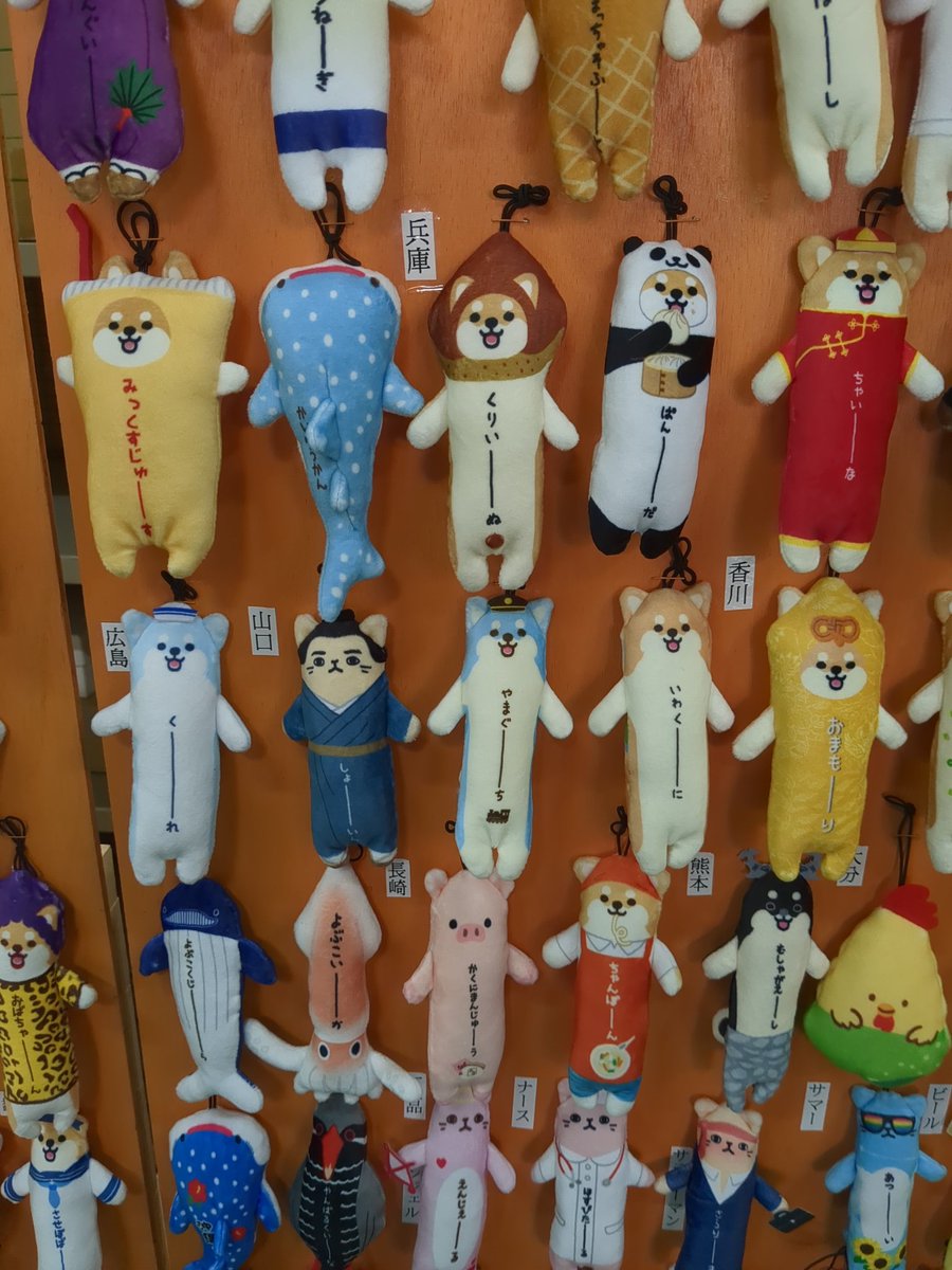 のびねこ - Search / X