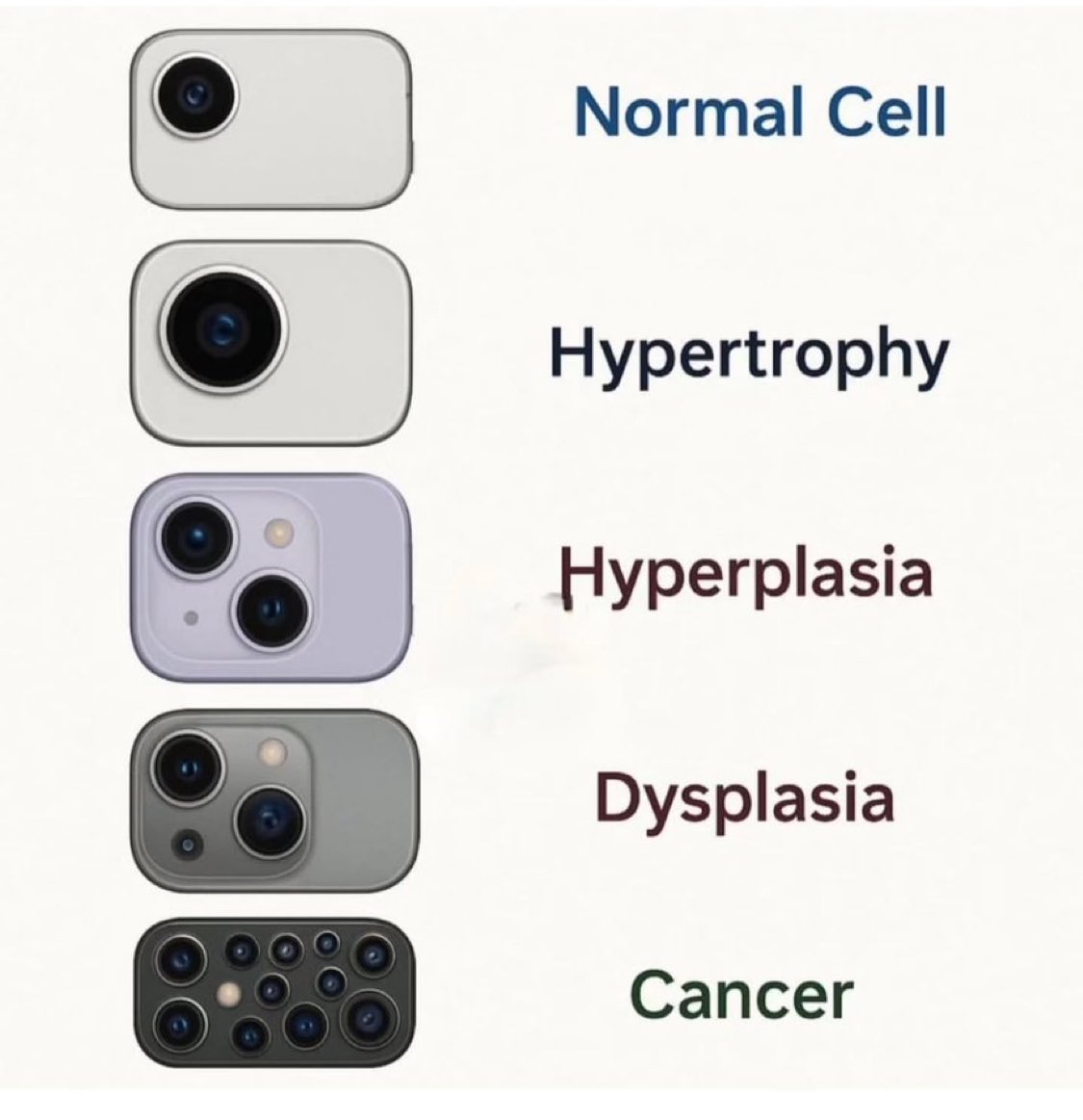 Doctors__squad's tweet photo. Normal cell to cancer cell https://t.co/uijpBFyTQD