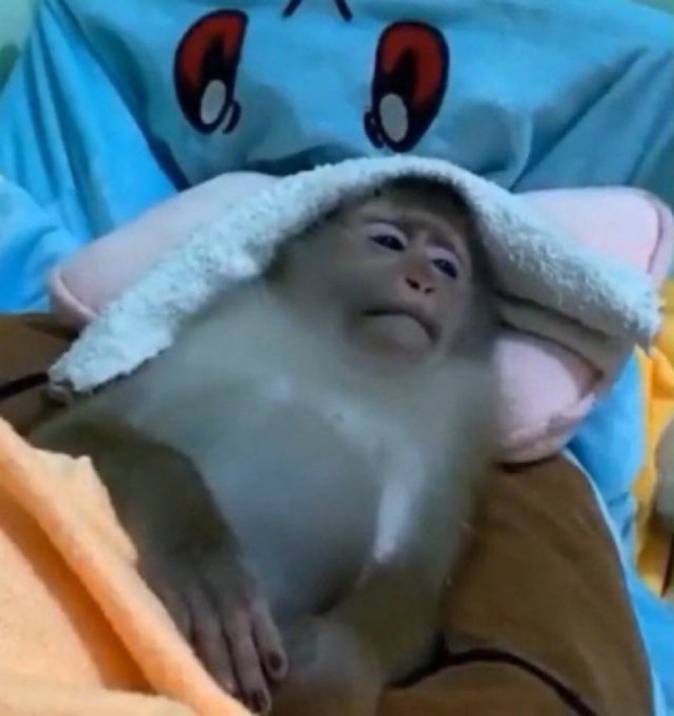 SolarPowerade1's tweet image. Hora de escuchar Lux con cancelación de ruido y en absoluta oscuridad para sentir la presencia de Dios por primera vez en la vida