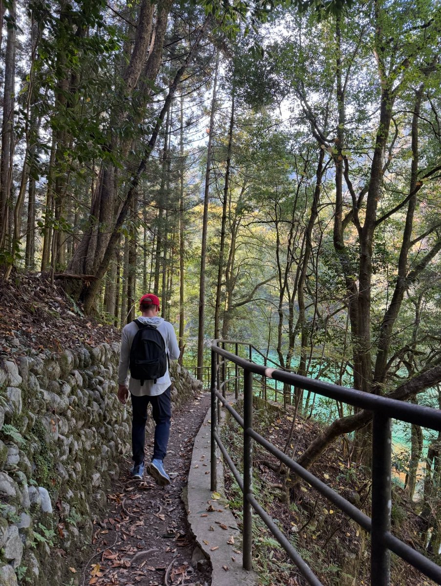 David Abbott tweet media