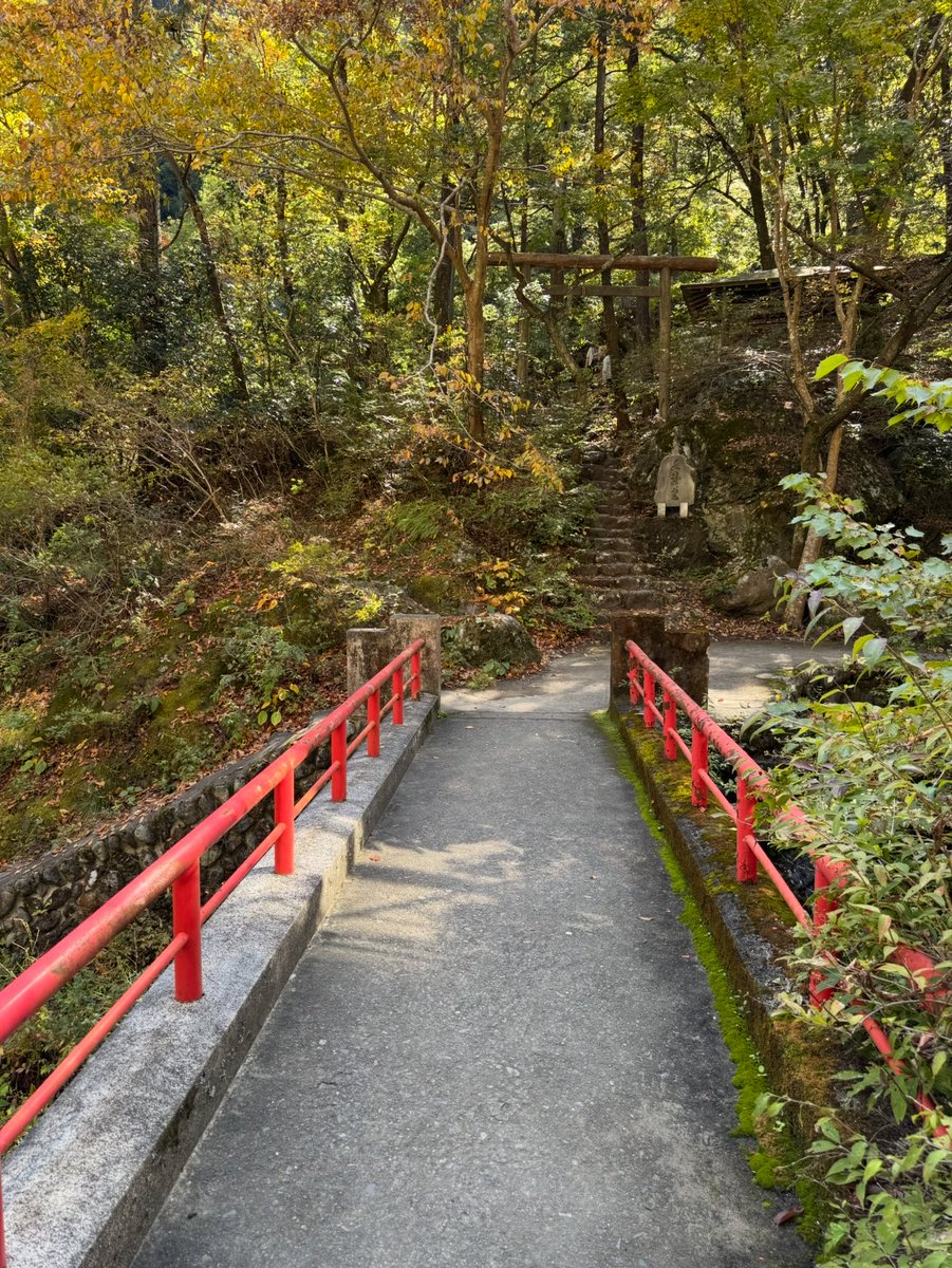 David Abbott tweet media