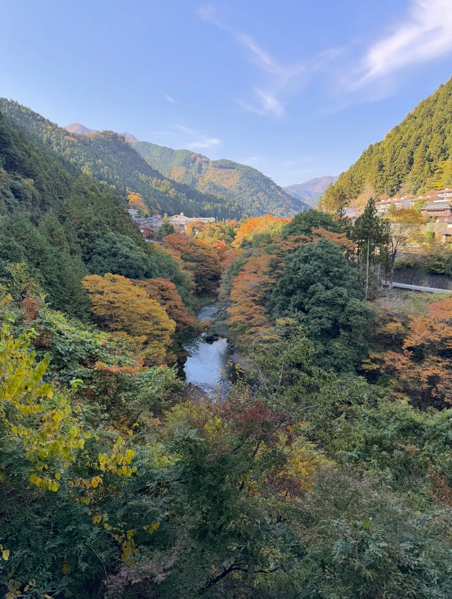 David Abbott tweet media