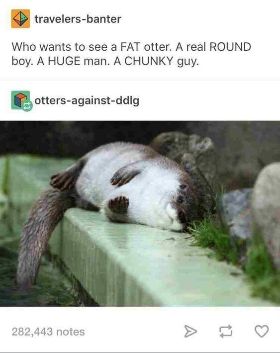 WholesomeMeme's tweet photo. https://t.co/cYVZPTSlaf