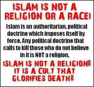 Imtiaz Mahmood (@imtiazmadmood) on Twitter photo 